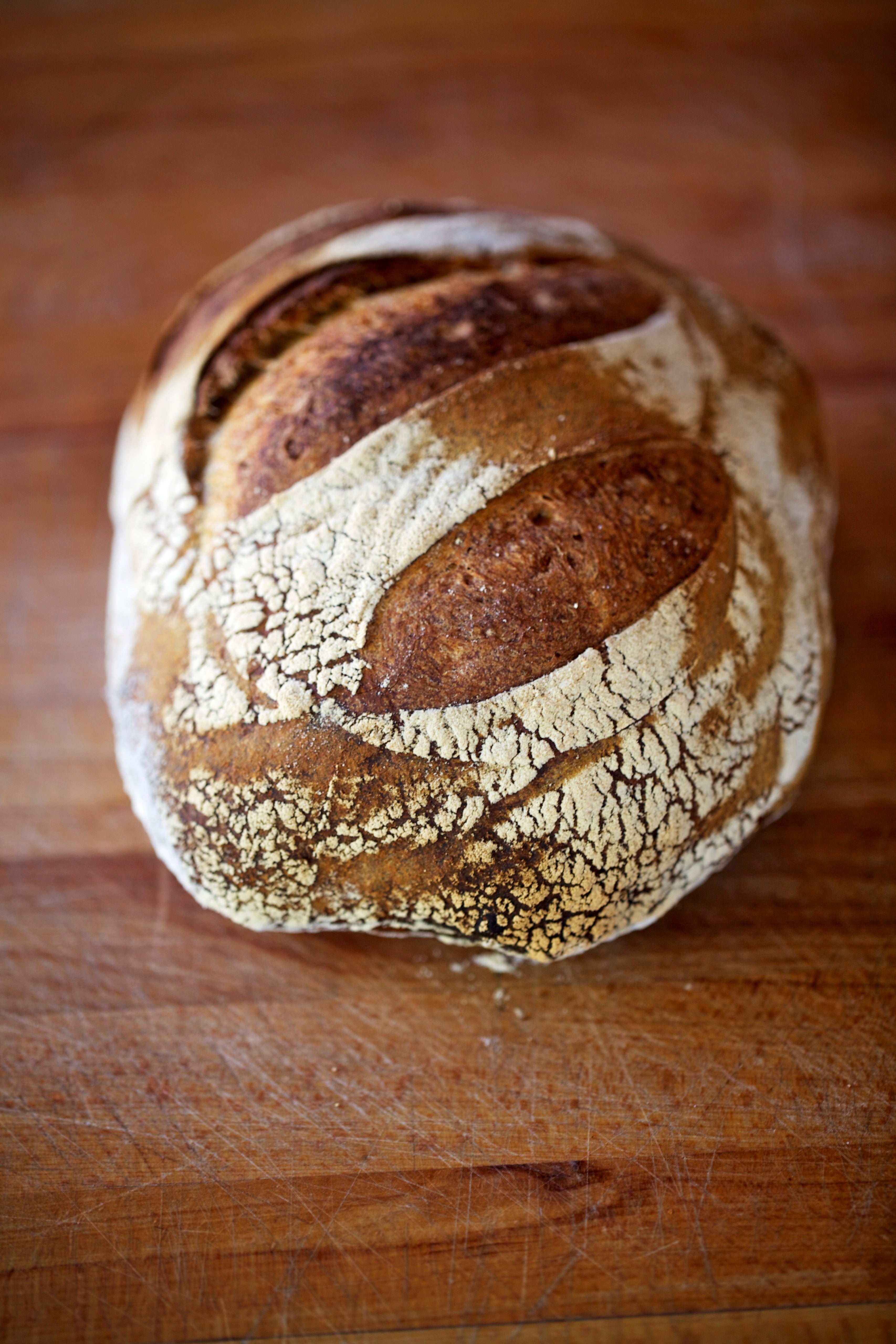 San Francisco Sourdough Style Bread | Baking Mad